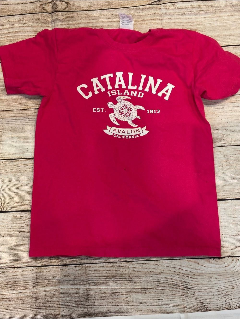 Catalina Island Kids' Pink Graphic Tee